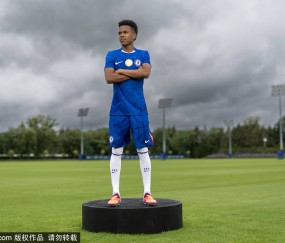 马雷斯卡的战术选择：埃斯特旺有望首发，安德烈留队带来的新机遇